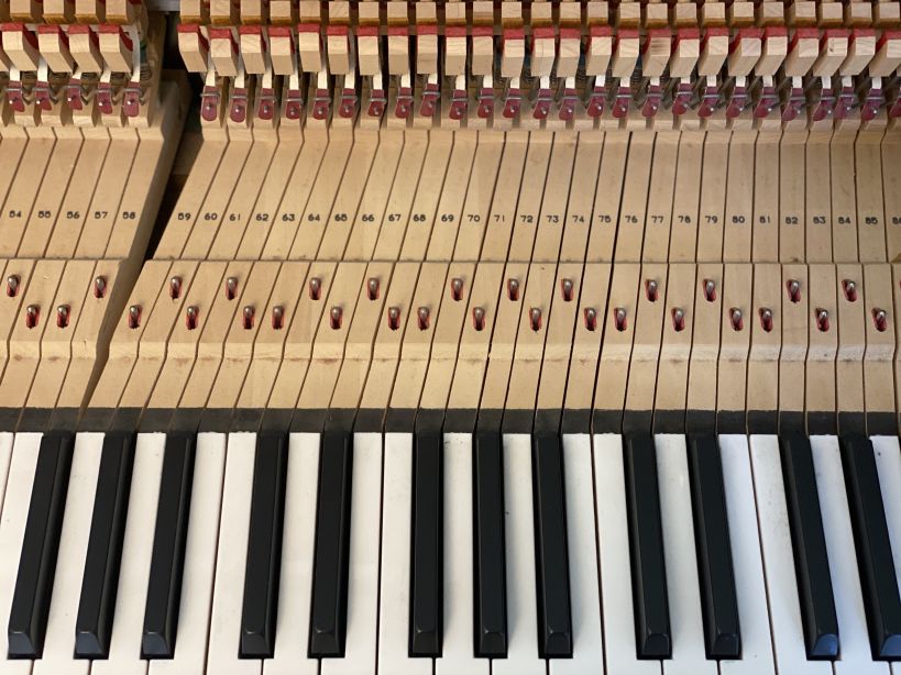 the-piano-tuner